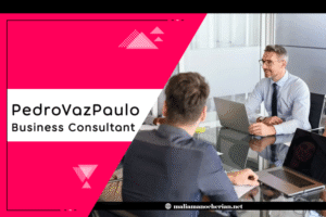 PedroVazPaulo Business Consultant